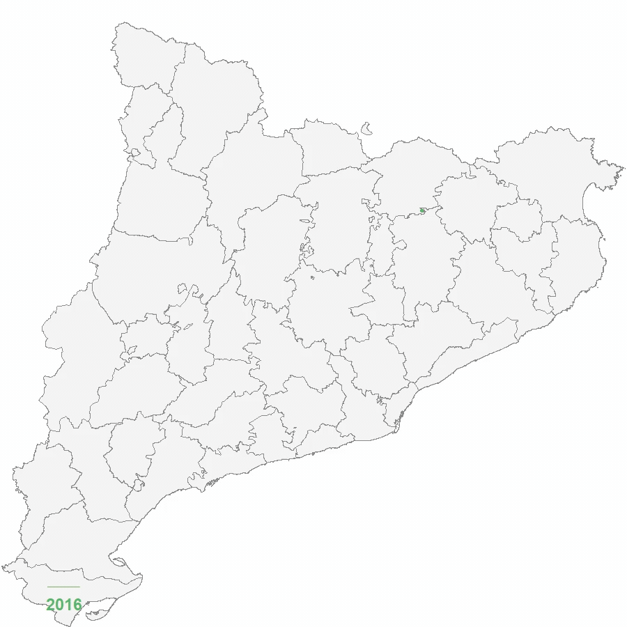 Expansió de l'eruga del boix (Cydalima perspectalis) a Catalunya. Font: AlertaForestal