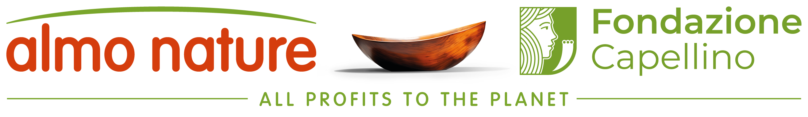 fondazione capellino