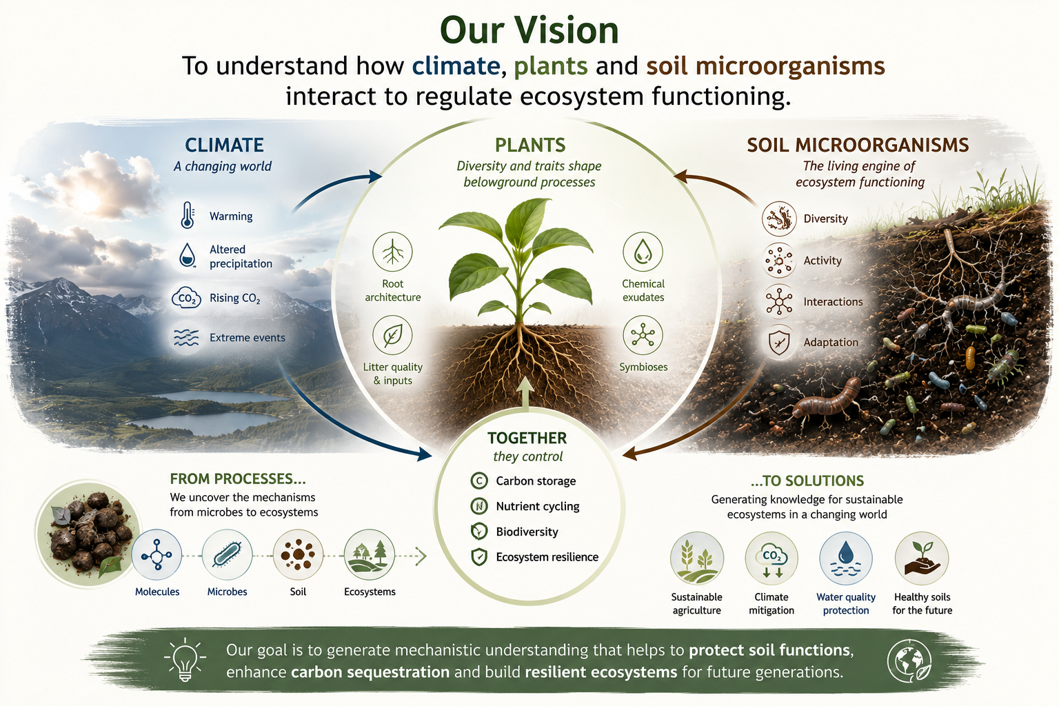our vision