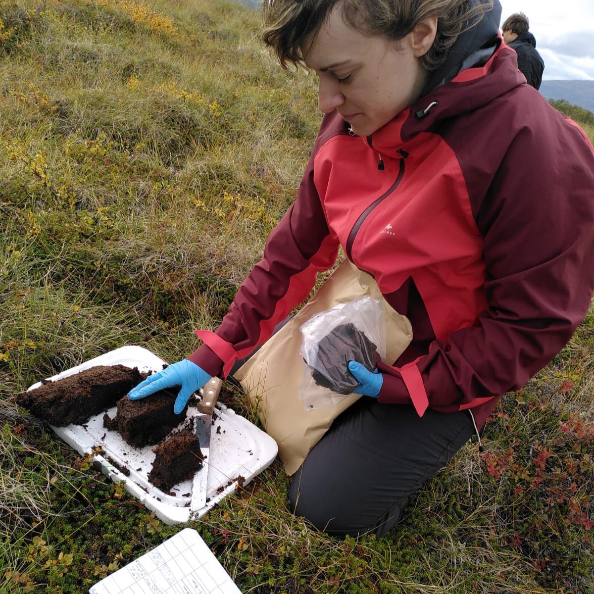 field work