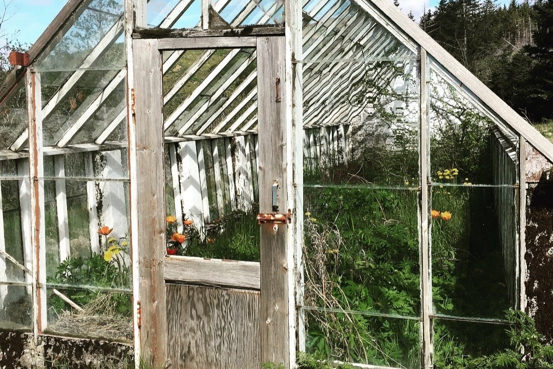greenhouse