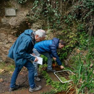 Marcos_fernandez_treball