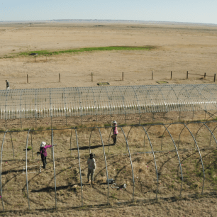 Camps_experimentals_Estats_Units