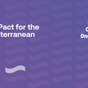 The Pact for the Mediterranean