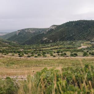 Panoramic view of valley with mountains and trees.