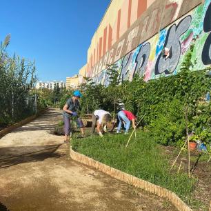 People gardening, next to a path y building with graffiti.