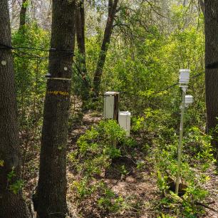 Weather monitoring equipment in the woods.