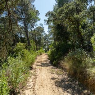 Ecosystem Services Platform, CREAF. Imatge Galdric Mossoll