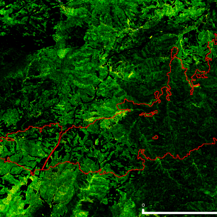 Els models digitals d’alçàries generats amb el nou mètode LidarTeam detecten perfectament com va quedar l’estructura vertical de la zona afectada per l’incendi d’Òdena del 26 de juliol de 2015. Es pot apreciar que algunes petites zones mantenen l’alçària.