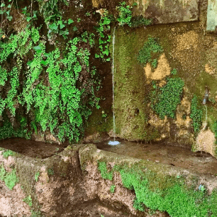 Font seminatural. 
