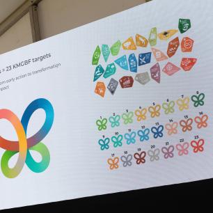 COP17 Biodiversity 