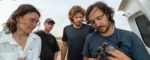Scientists examining a bird, COGPOP, CREAF. Picture: Galdric Mossoll