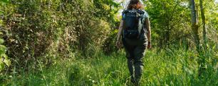 Woman hiking in green forest, with backpack.