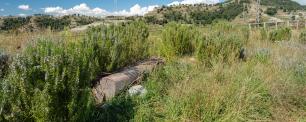 Grassy field with shrubs and a concrete block, mountain in the background. Photograph.