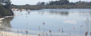 L'Albufera, València. Autoria: Wetland4Change, coordinat per la Universitat Forestal de Bulgària i un dels projectes del programa Interreg Euro-MED.