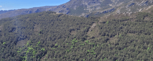 Mountain range with dense forest and blue sky.Parque Natural de la Sierra Norte de Guadalajara, uno de los casos demostrativos del proyecto LIFE RedBosques_Clima.