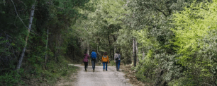 Four people walking on a dirt path through a forest.