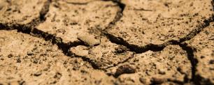 Sequía pixabay