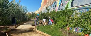 People gardening, next to a path and a building with graffiti.