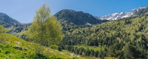 Scenic view of mountains with lush green trees and blue sky.