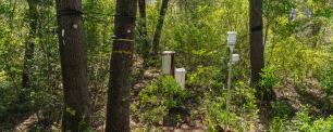 Weather monitoring equipment in the woods.