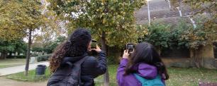 Dos nenes fent fotografies a un arbre de la Ciutadella