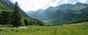 Green meadow with mountains in the distance.