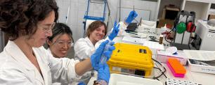 Laboratory work