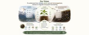 Infography of our vision