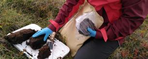 Field work in Iceland
