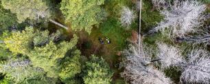 Investigadors al bosc