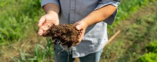 Soil in planeses farm