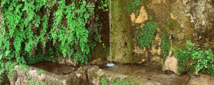 Font seminatural. 