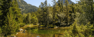 Conservar la natura va molt més enllà de les àrees protegides