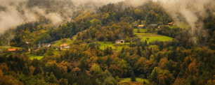 Projecte TERRAE