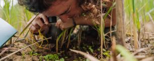 Observación de un vegetal mediante lupa