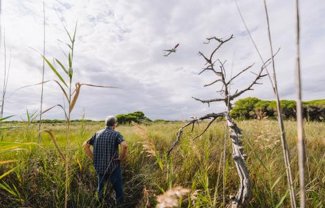 JoanPino_LaRicarda_GaldricMossoll_CREAF