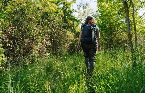 Woman hiking in green forest, with backpack.