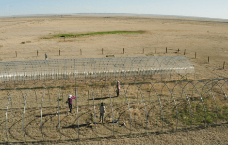 Camps_experimentals_Estats_Units