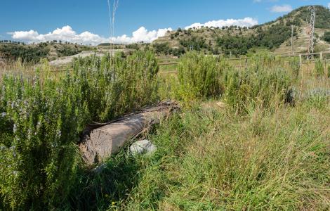 Grassy field with shrubs and a concrete block, mountain in the background. Photograph.
