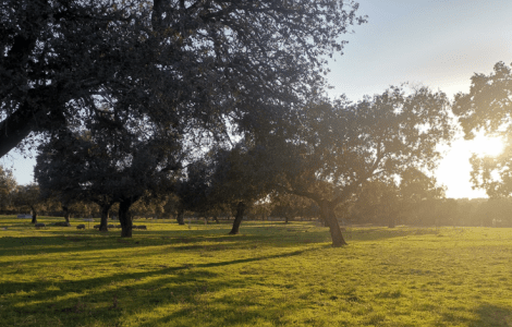 Los Pedroches. Crédito: proyecto I-CISK. 