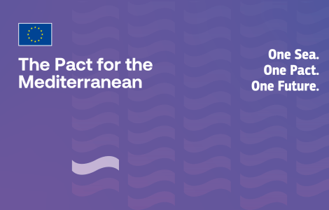 The Pact for the Mediterranean