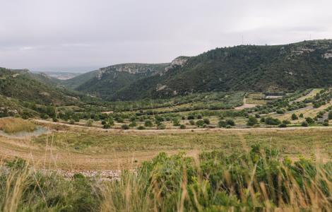 Panoramic view of valley with mountains and trees.
