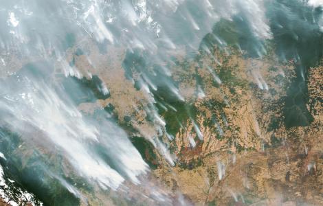 Photograph of forest fires with smoke plumes.
