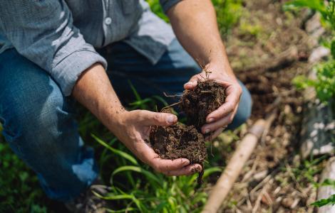 Person holding handfuls of dark, rich soil in a garden setting.