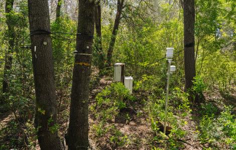 Weather monitoring equipment in the woods.