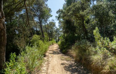 Ecosystem Services Platform, CREAF. Imatge Galdric Mossoll