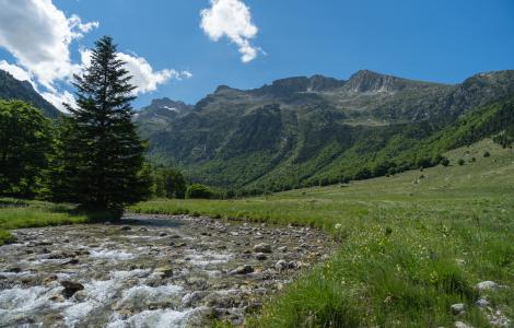Vall de Molieres. Imatge: Galdric Mossoll