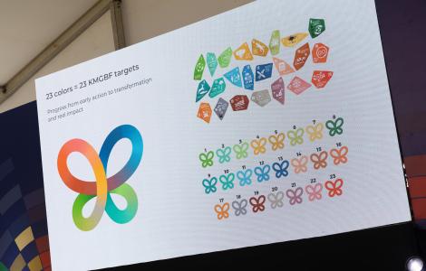 COP17 Biodiversity 