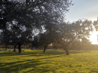 Los Pedroches. Crédito: proyecto I-CISK. 